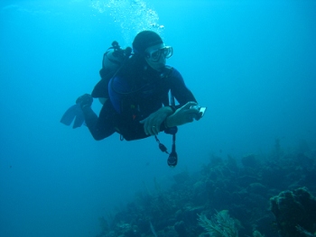 Diving in Costa Maya, Mexico